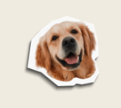 ejemplo de identidad verbal efectiva para marcas personales